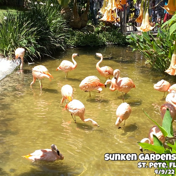 Listing FULL! Please like NEW🦩listing nxt door 2 keep playing! - Picture 12 of 14